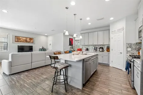 17576 Terrazzo Way Land O Lakes FL 34638