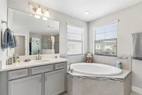 17576 Terrazzo Way Land O Lakes FL 34638