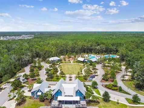 17576 Terrazzo Way Land O Lakes FL 34638