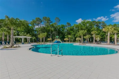 17576 Terrazzo Way Land O Lakes FL 34638