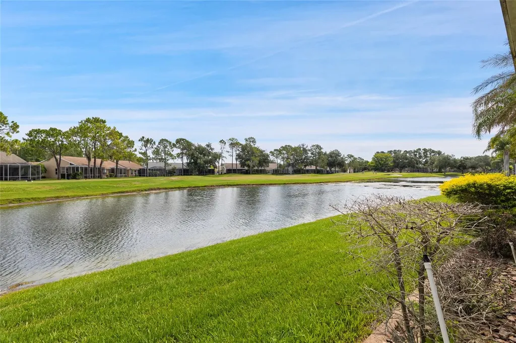 20823 Jaffa Lane Land O Lakes FL 34637