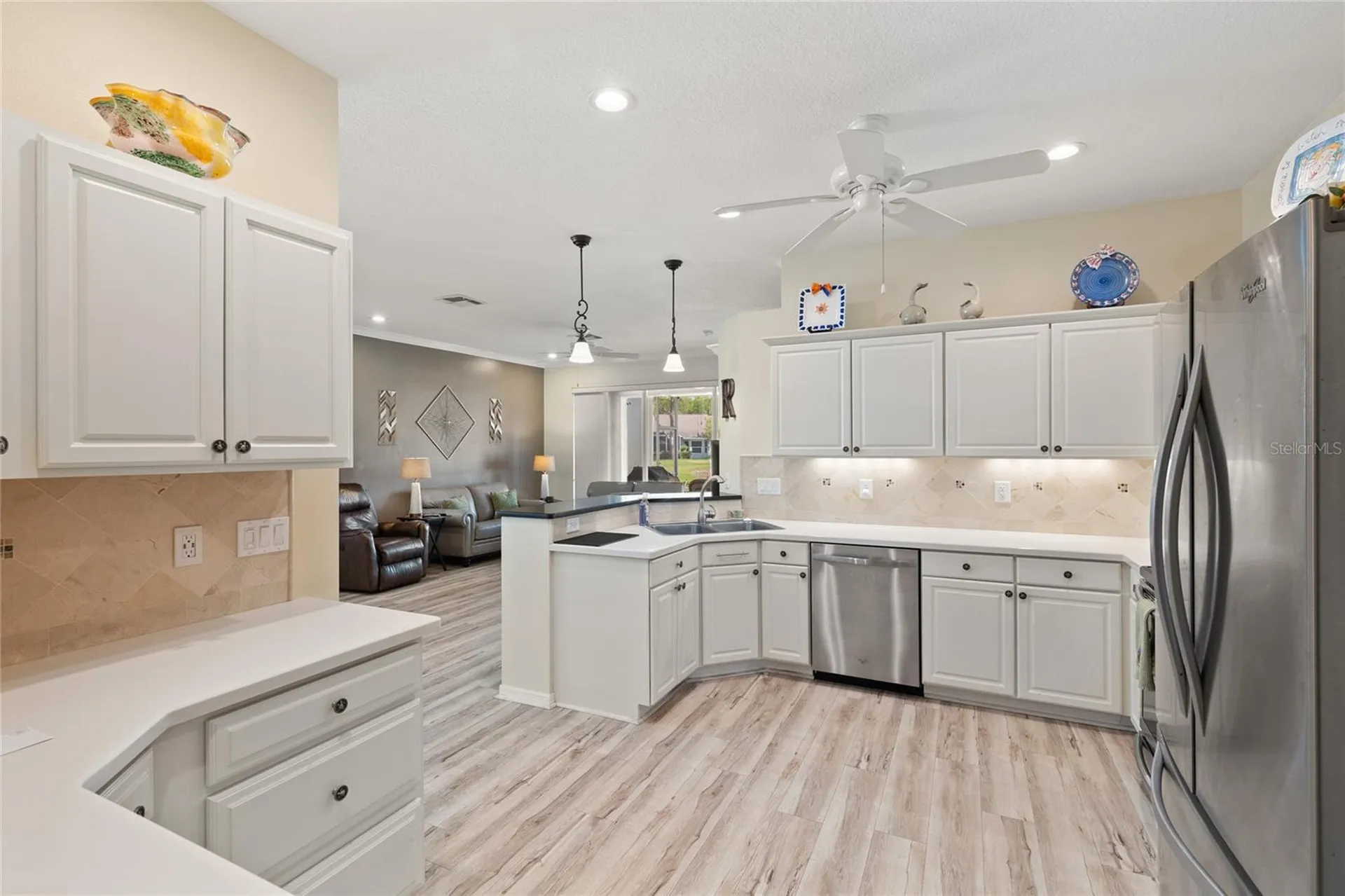 20823 Jaffa Lane Land O Lakes FL 34637