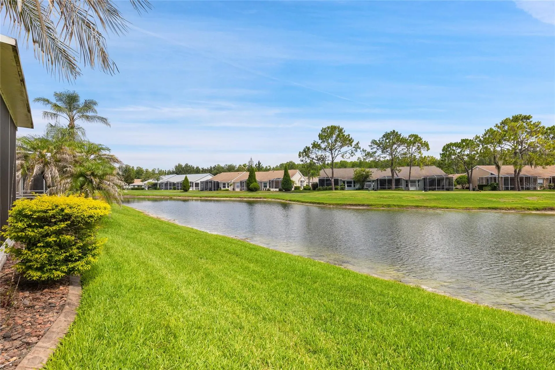 20823 Jaffa Lane Land O Lakes FL 34637