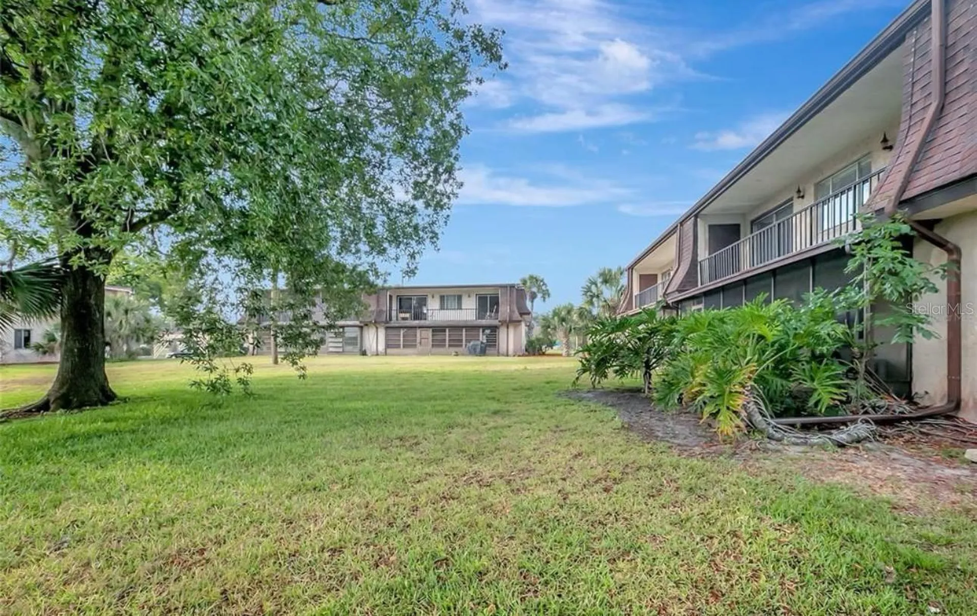 7020 Cognac Drive New Port Richey FL 34653