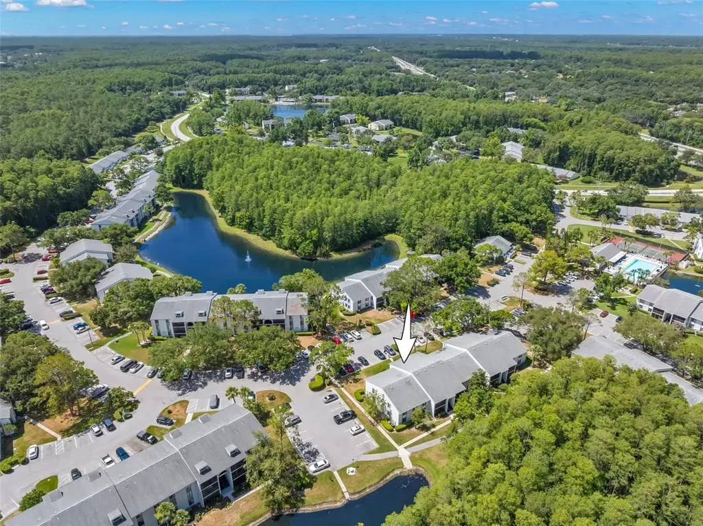 1290 Pine Ridge Circle E Tarpon Springs FL 34688