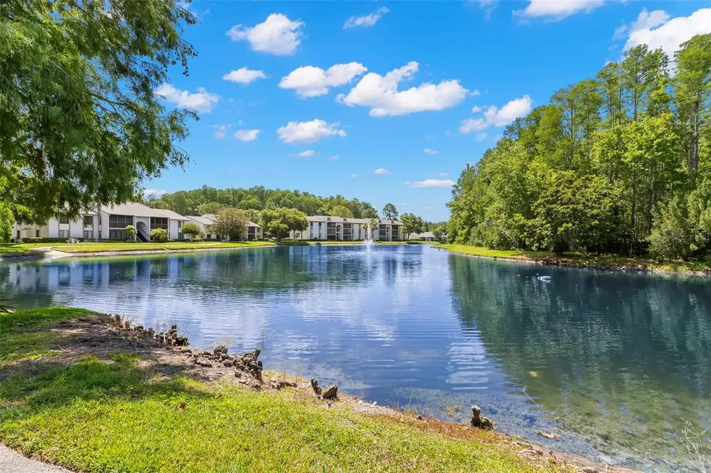 1290 Pine Ridge Circle E Tarpon Springs FL 34688