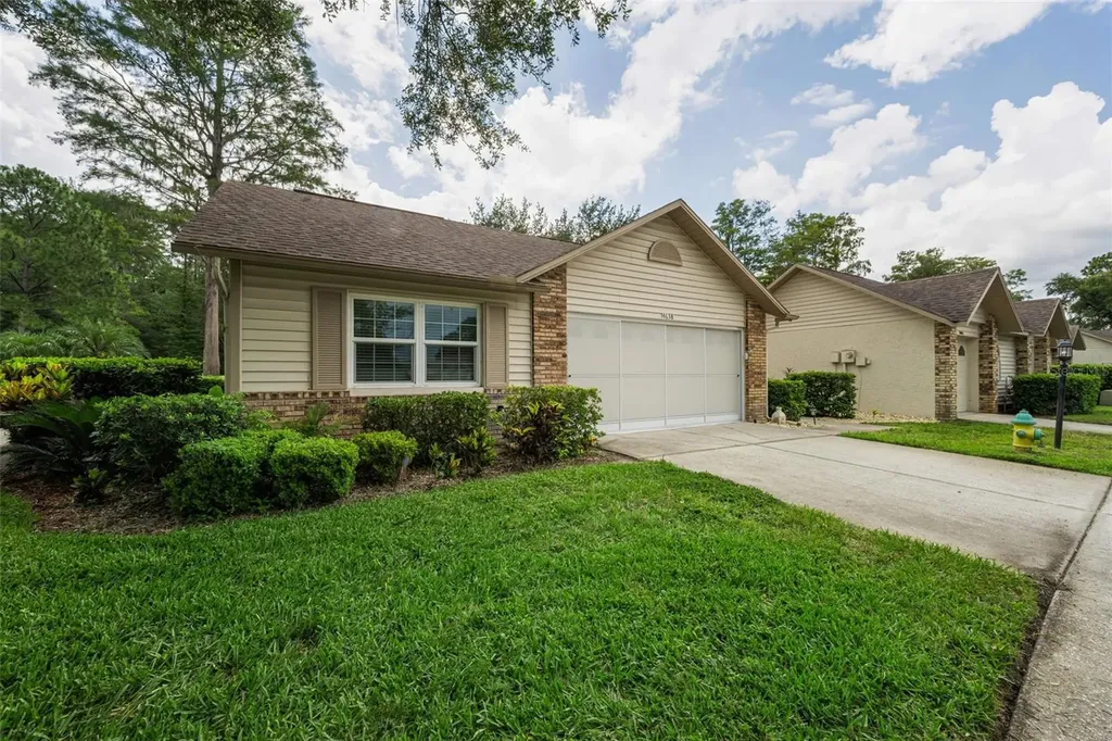 4638 Sheffield Drive New Port Richey FL 34655