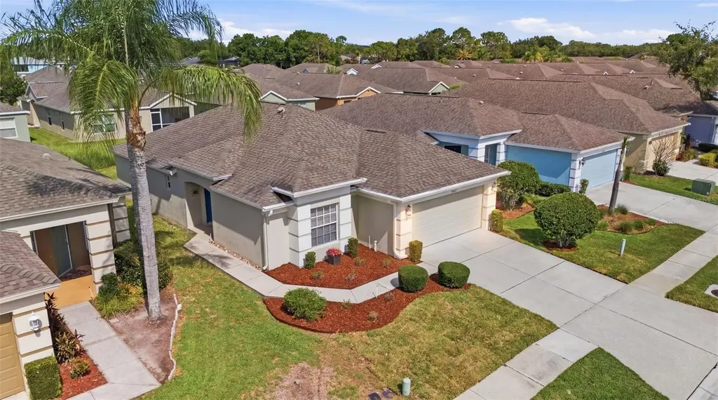 5240 Gato Del Sol Circle Wesley Chapel FL 33544