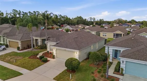 5240 Gato Del Sol Circle Wesley Chapel FL 33544