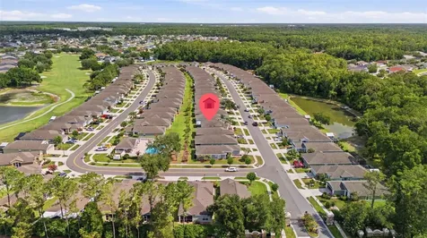 5240 Gato Del Sol Circle Wesley Chapel FL 33544
