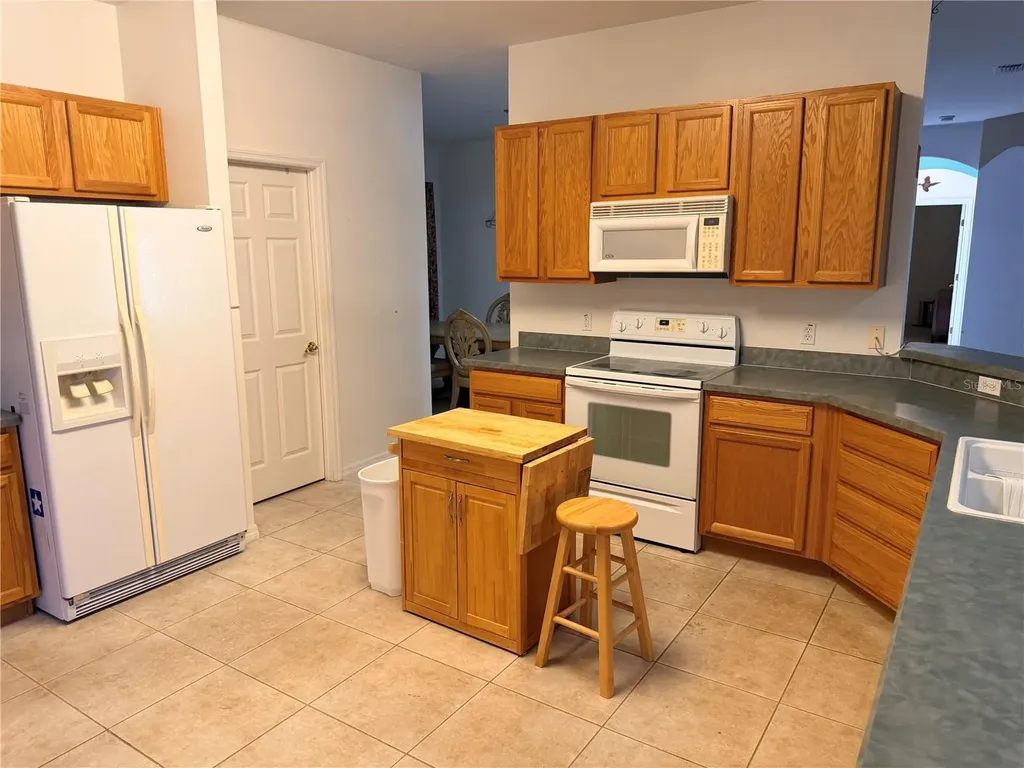 941 Shorehaven Drive Kissimmee FL 34759