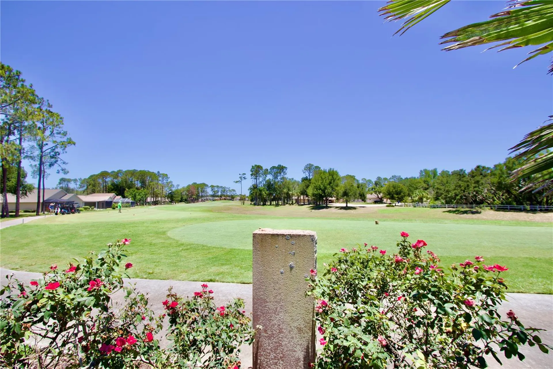 11205 Edge Park Drive Hudson FL 34667