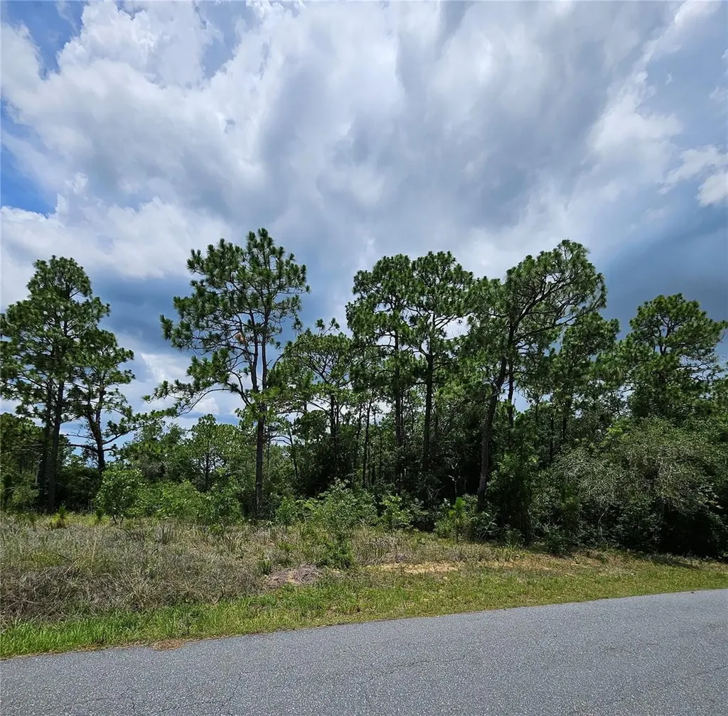12350 S Elm Point Floral City FL 34436