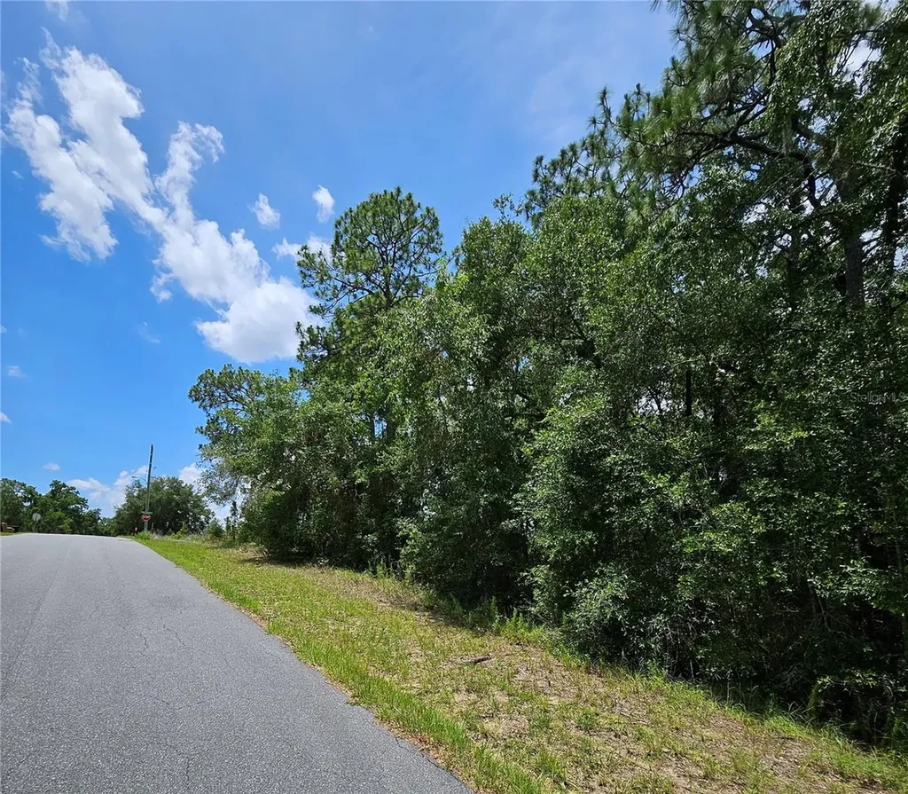 12350 S Elm Point Floral City FL 34436