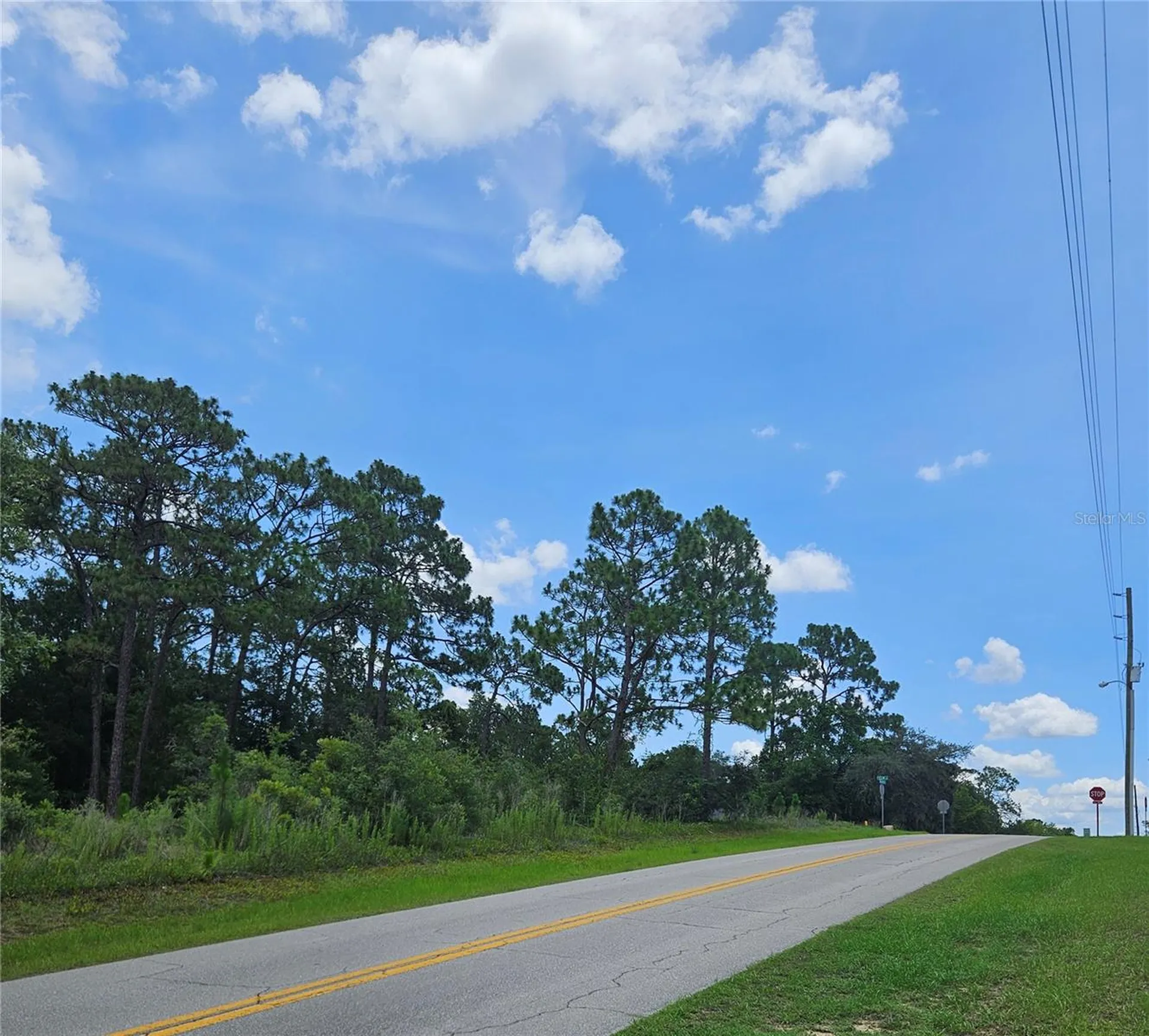 12350 S Elm Point Floral City FL 34436