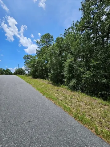 12350 S Elm Point Floral City FL 34436