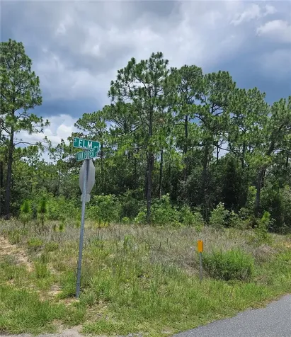 12350 S Elm Point Floral City FL 34436