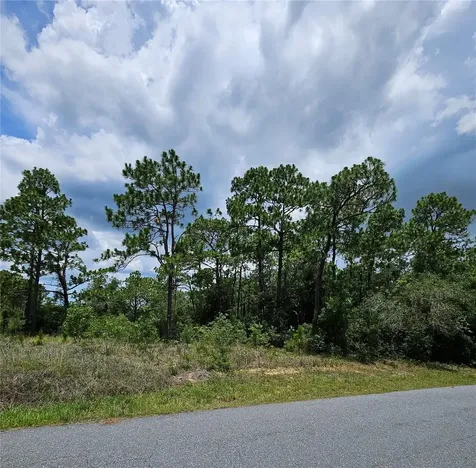 12350 S Elm Point Floral City FL 34436