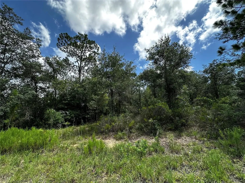 12930 NE 15th Street Williston FL 32696