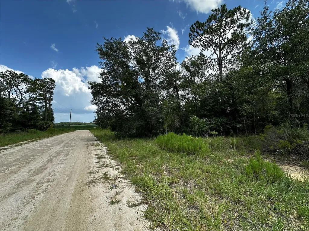 12930 NE 15th Street Williston FL 32696
