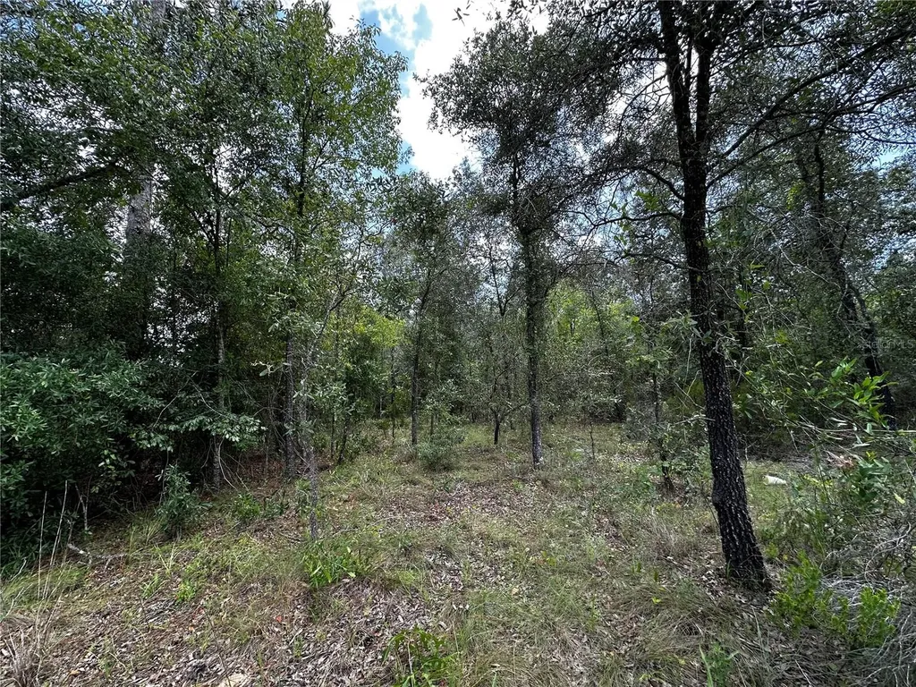 12930 NE 15th Street Williston FL 32696