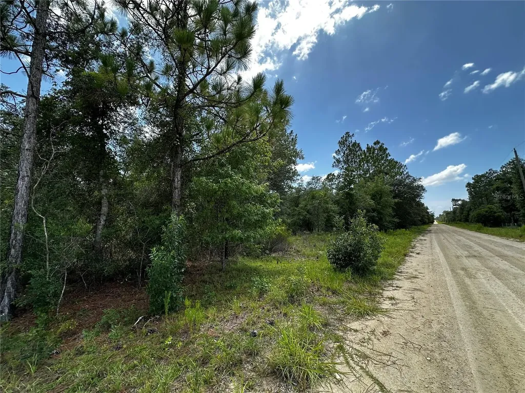 12930 NE 15th Street Williston FL 32696