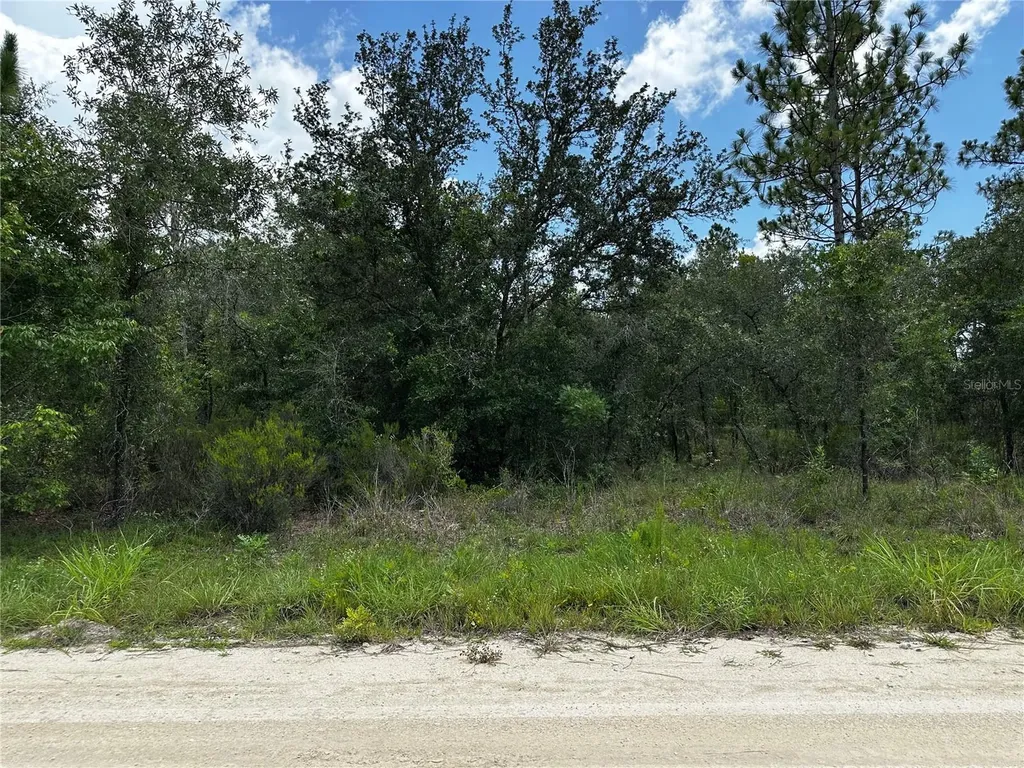 12930 NE 15th Street Williston FL 32696