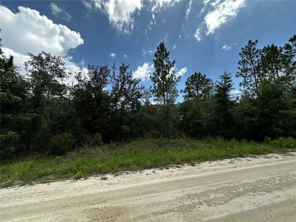 12930 NE 15th Street Williston FL 32696