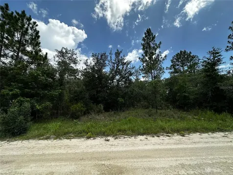 12930 NE 15th Street Williston FL 32696