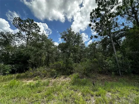 12930 NE 15th Street Williston FL 32696