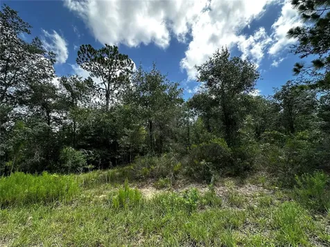 12930 NE 15th Street Williston FL 32696