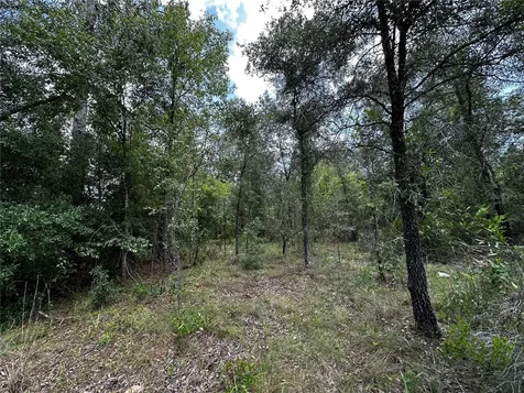 12930 NE 15th Street Williston FL 32696