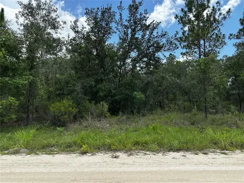 12930 NE 15th Street Williston FL 32696