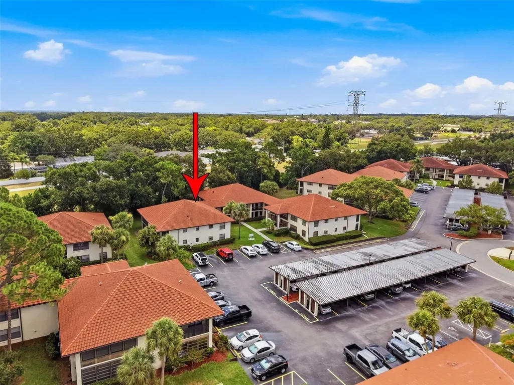 1309 Hammock Pine Boulevard Clearwater FL 33761