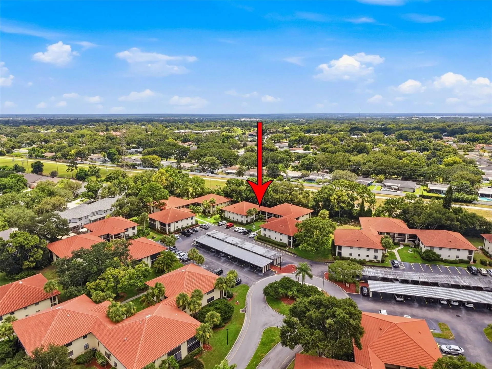 1309 Hammock Pine Boulevard Clearwater FL 33761