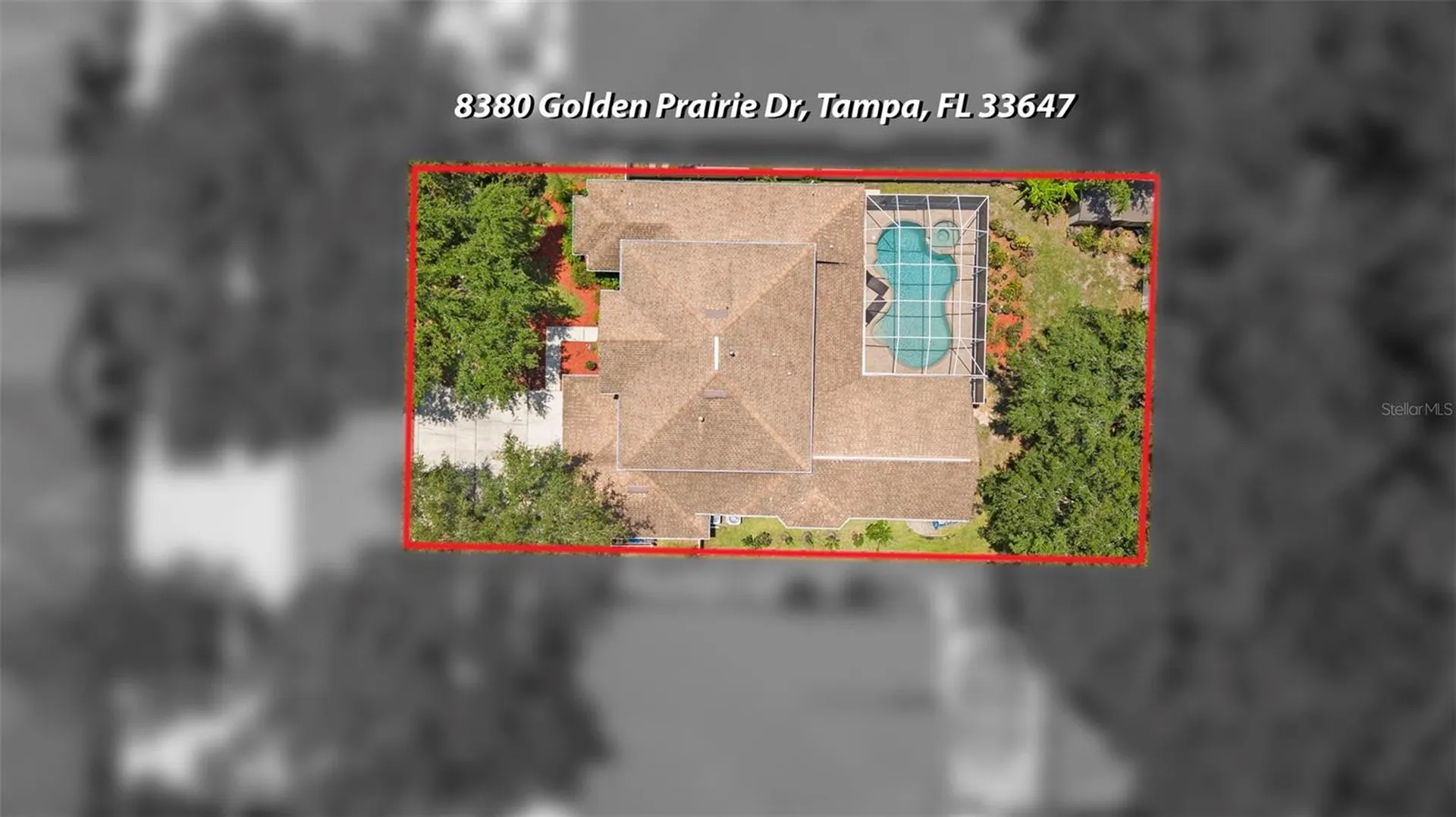 8380 Golden Prairie Drive Tampa FL 33647