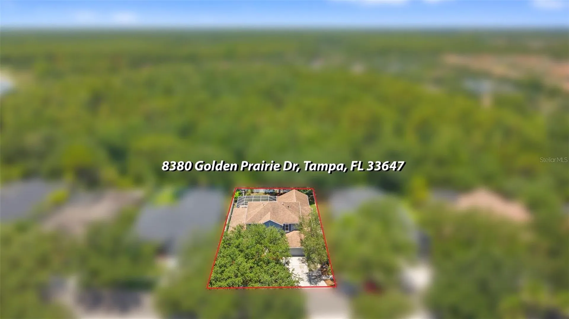 8380 Golden Prairie Drive Tampa FL 33647