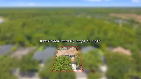 8380 Golden Prairie Drive Tampa FL 33647