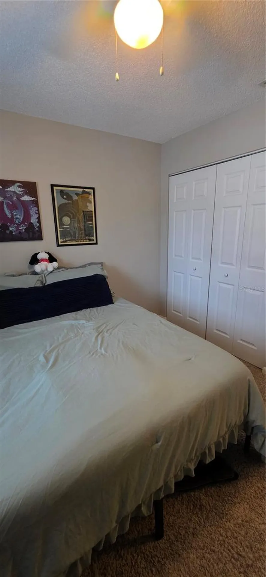 Zephyrhills FL 33542