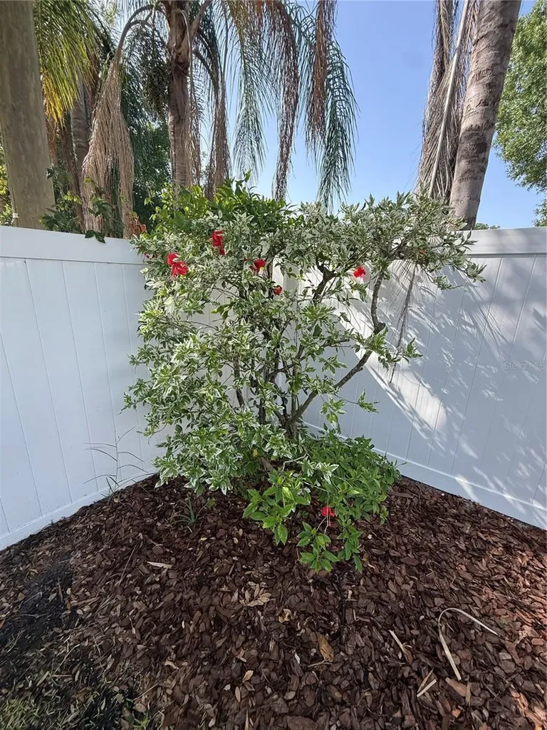 1760 Georgia Avenue NE St Petersburg FL 33703