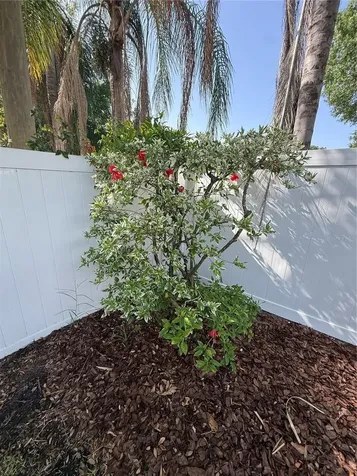 1760 Georgia Avenue NE St Petersburg FL 33703