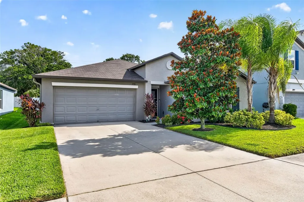 3716 Cat Mint Street Tampa FL 33619