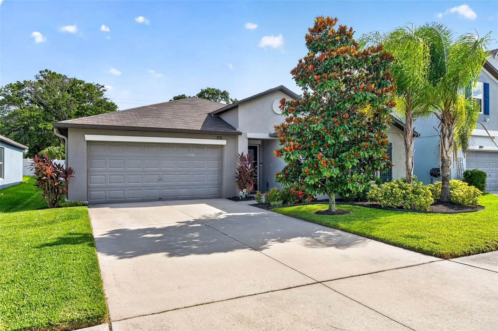 3716 Cat Mint Street Tampa FL 33619