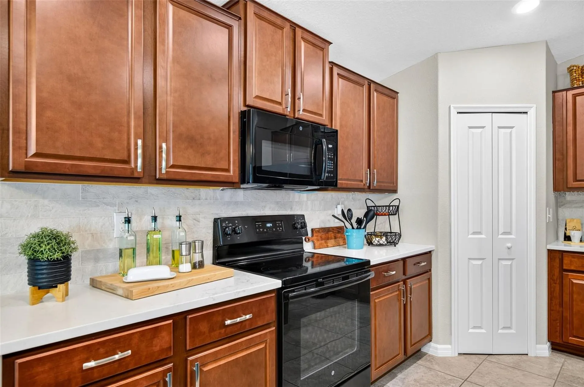 3716 Cat Mint Street Tampa FL 33619