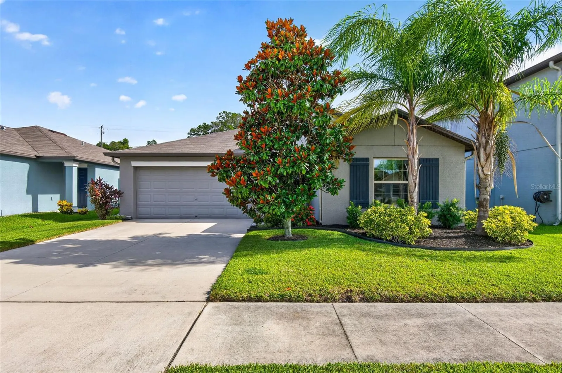 3716 Cat Mint Street Tampa FL 33619