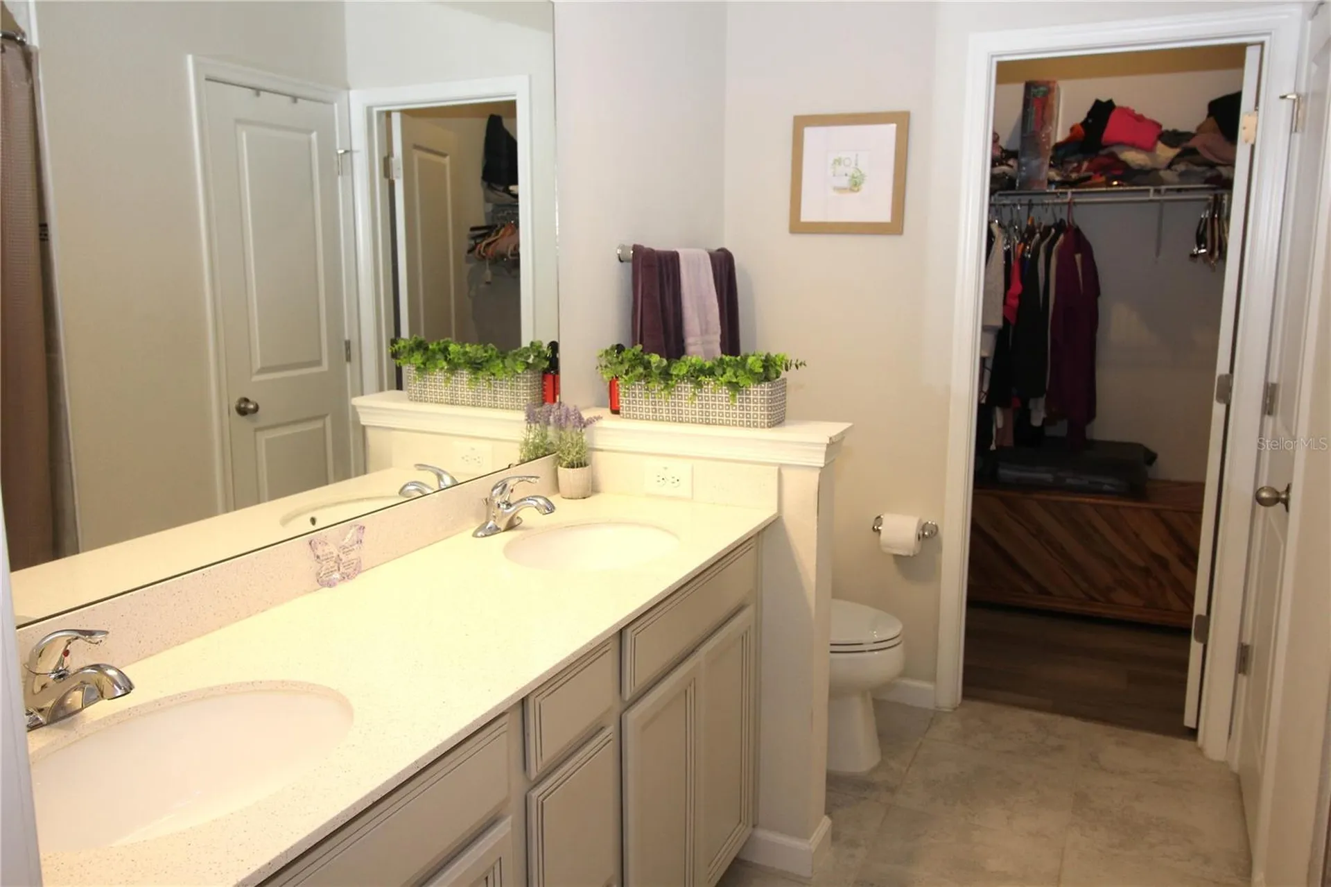 2135 Laceflower Drive Brandon FL 33510