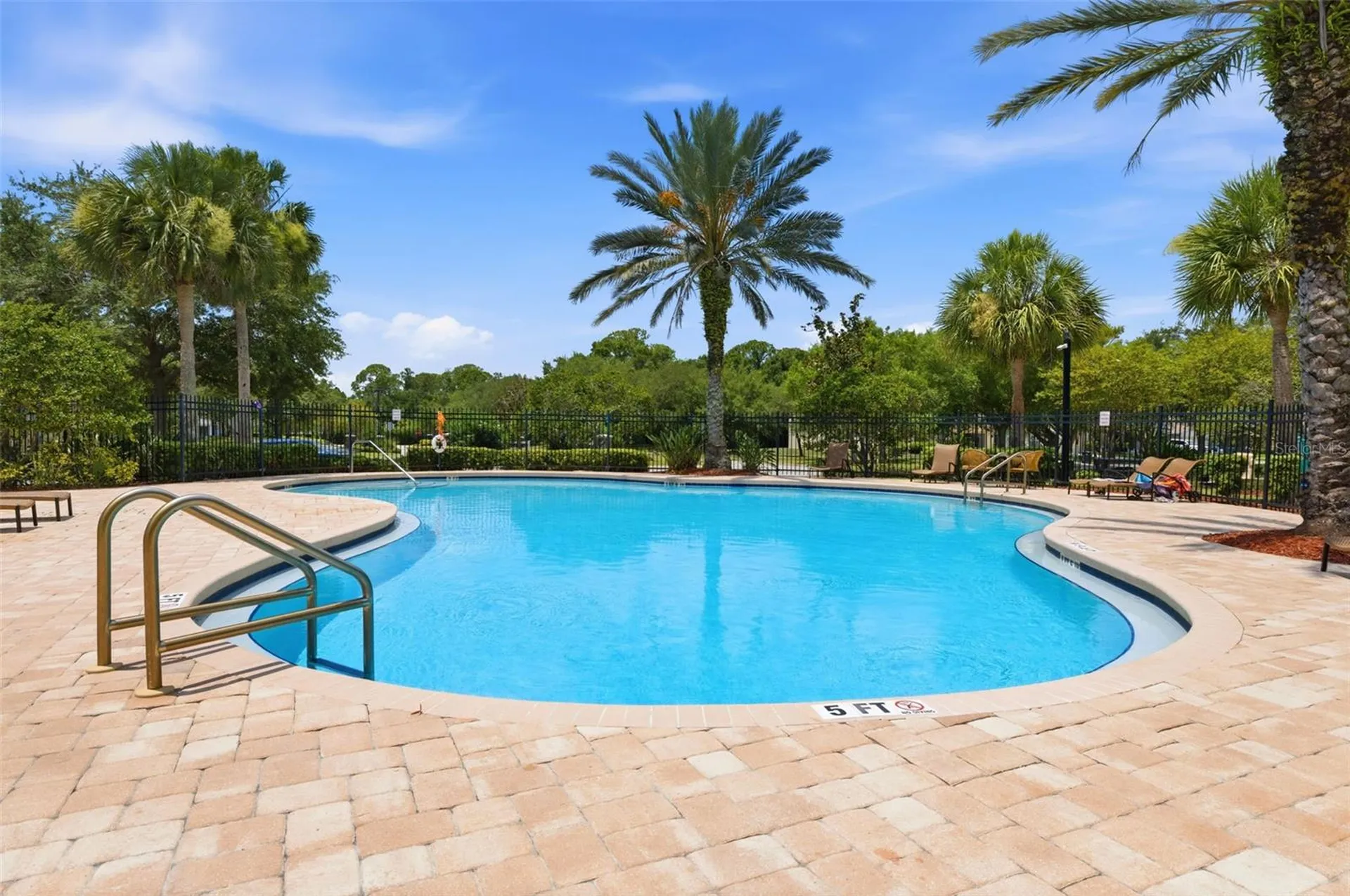 12440 Country White Circle Tampa FL 33635