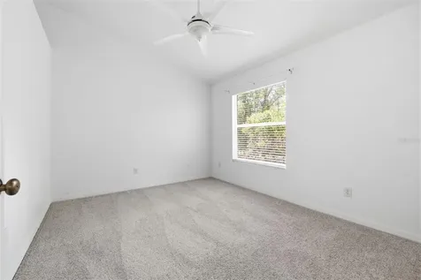 12440 Country White Circle Tampa FL 33635