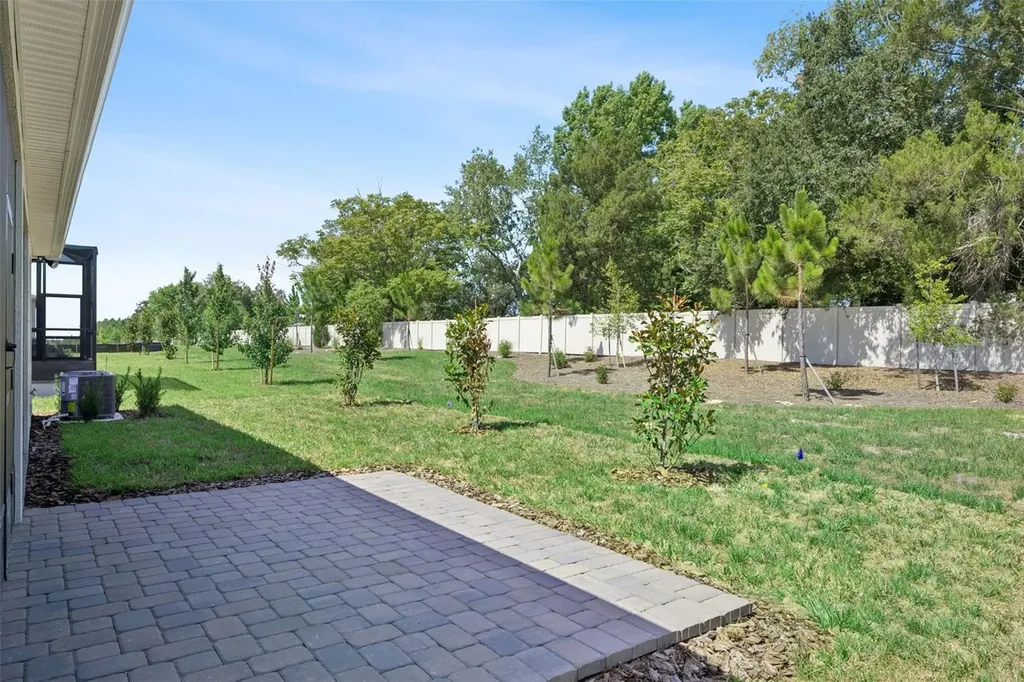 2458 Del Webb Drive Minneola FL 34715