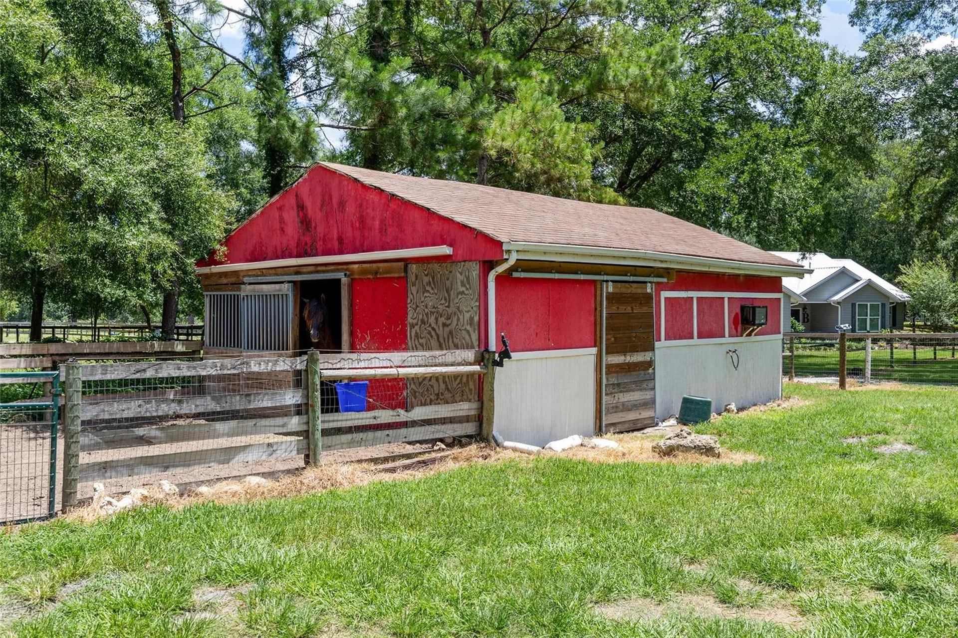 16353 NW 130 Street Williston FL 32696